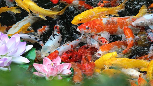 Beragam Jurus Uni Eropa Tingkatkan Daya Saing Industri Guna Lawan Tarif AS