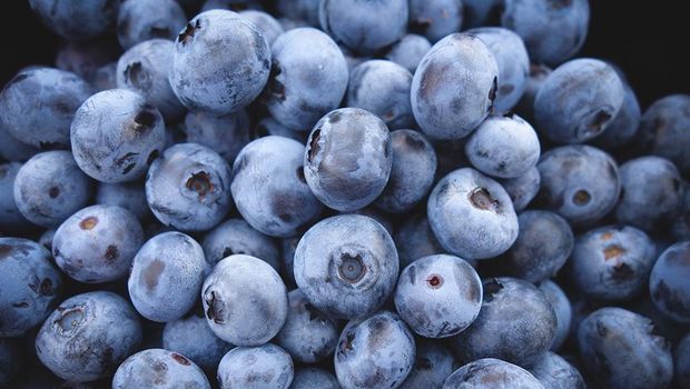 Buah blueberry