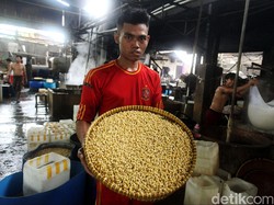Kementan: Produksi Kedelai RI Diprediksi Turun 77.000 Ton