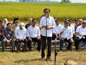 Pujian Jokowi ke Mentan: Rela Siapkan Uang Pribadi Untuk Amankan Harga Bawang