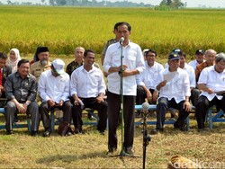 Pujian Jokowi ke Mentan: Rela Siapkan Uang Pribadi Untuk Amankan Harga Bawang