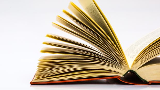 Ilustrasi Buku