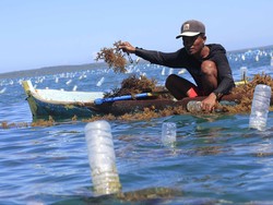 Sembilan Tahun Berlalu, RI Desak Australia Selesaikan Kasus Montara