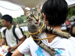 Ilmuwan Temukan Cara Hentikan Gerak-gerik Toksoplasma di Tubuh Manusia