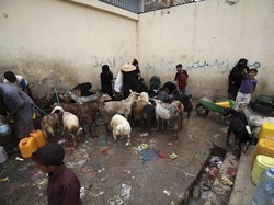Akibat Perang, Setengah Juta Anak di Yaman Terancam Kelaparan dan Malnutrisi