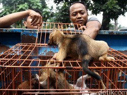 Meski Beriklim Panas, Indonesia Dinilai Belum Concern pada Penyakit Tropis