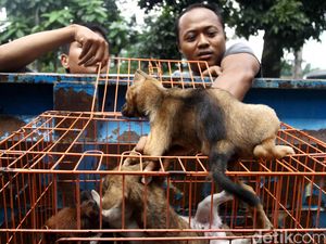 Meski Beriklim Panas, Indonesia Dinilai Belum Concern pada Penyakit Tropis Meski Beriklim Panas, Indonesia Dinilai Belum Concern pada Penyakit Tropis