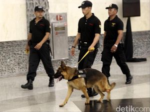 Dicari! 100 Pawang Anjing yang Berani Kerja di BNN Dicari! 100 Pawang Anjing yang Berani Kerja di BNN