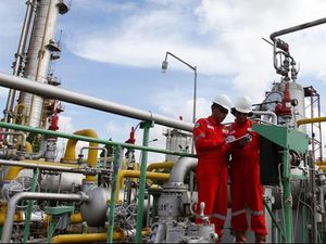 Atasi Stunting, Pertamina Berdayakan Kebun Gizi di Balongan Indramayu