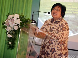 Menteri Siti Sebut Angka Kebakaran Hutan Tahun Ini Menurun