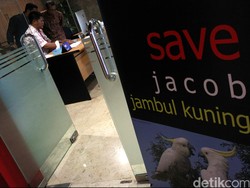 Lewat #SaveSiJambulKuning, Publik Sadar Pelihara Satwa Langka itu Enggak Keren