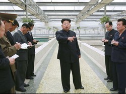 Terancam Kelaparan karena Kekeringan, Korut Minta Bantuan Iran