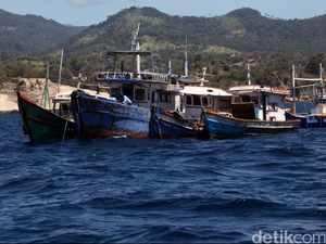 Moratorium Transhipment Angin Segar Bagi Nelayan Kecil di Kendari Moratorium Transhipment Angin Segar Bagi Nelayan Kecil di Kendari