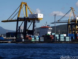 3 Fakta Kontainer Langka Bikin Pengusaha Uring-uringan