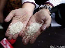 Ramai Isu Beras Sintetis di Bukittinggi Usai Pengakuan Desi