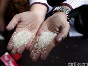 Ramai Isu Beras Sintetis di Bukittinggi Usai Pengakuan Desi Ramai Isu Beras Sintetis di Bukittinggi Usai Pengakuan Desi