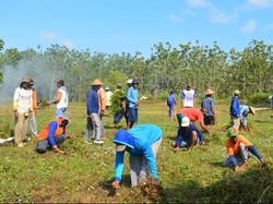 Kala Warga Bersiap Membangun Rumah Peri Setyowati di Hutan Ngawi