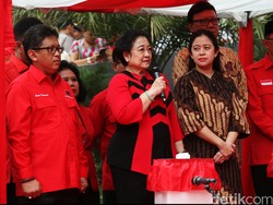 Ini Pesan Mega ke Anggota MKD dari PDIP Jelang Putusan Kasus Novanto