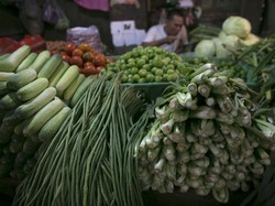 Bingung Pilih Diet, Perbanyak Makan Sayur Lebih Efektif Pangkas Berat Badan