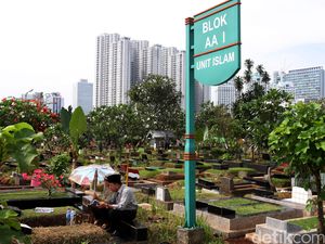 Ahok: Dalam Sehari, Kadis Pertamanan dan Pemakaman Temukan 80 Makam Fiktif