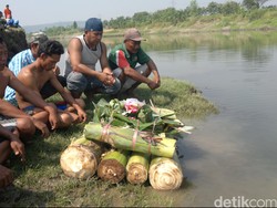 Buntut Penampakan Buaya, Warga Larung Tumpeng di Kali Porong