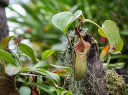 6 Studi Sains Teraneh yang Pernah Dilakukan, Ada Eksperimen Pisau dari Kotoran