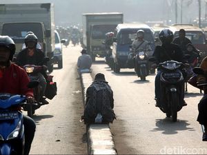 Banyak Pengemis di Trotoar, Dinsos Jakpus: Jangan Beri Sedekah di Jalanan!