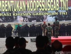 Setelah Pasukan Super Elite TNI Diaktifkan Jokowi