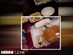 Hiii... Ada Cecak di Makanan Penumpang Pesawat Air India
