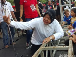 Misteri Udang yang Mengganjal Risma