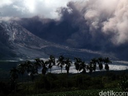 Asyik, Pengungsi Gunung Sinabung Dapat Lahan Pertanian 0,5 Ha