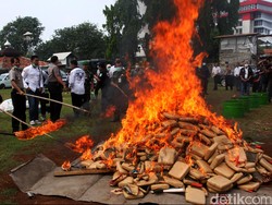Ganja 158 Kg Dibalut Kue Kering Ditemukan di Kargo Bandara Kualanamu