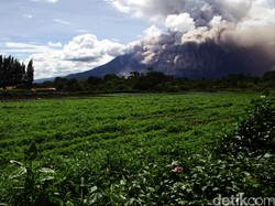 BNPB: Gunung Sinabung, Raung dan Gamalama Masih Meletus