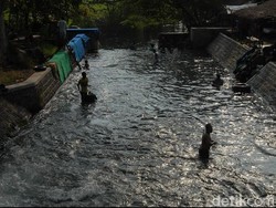 Tradisi Umbah-umbah Karpet Jelang Ramadan Satukan Warga