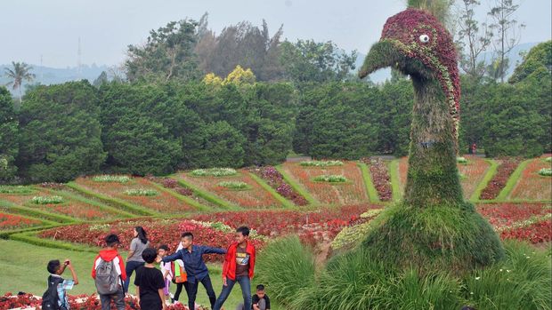 WISATA TAMAN BUNGA NUSANTARA Sejumlah pengunjung berada di Taman Bunga Nusantara, Desa Kawungluwuk, Cianjur, Jabar, Senin (15/6). Taman yang memiliki kekayaan flora khususnya bunga dan tanaman hias lokal dan manca negara itu menjadi tujuan wisatawan lokal dalam mengisi liburan sekolah dan jelang Ramadan. ANTARA FOTO/Arif Firmansyah/Spt/15