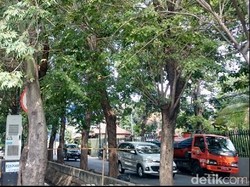 Kapan Harus Panggil Jasa Sedot WC? Ini Penjelasannya