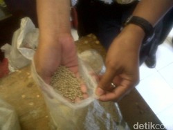 Supaya Merica Palsu Cepat Laku, Pengedar Sengaja Pasok ke Pedagang Tua