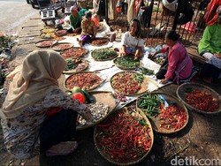 Doa Pedagang Cabai: Pemerintah Tolong Stabilkan Harga