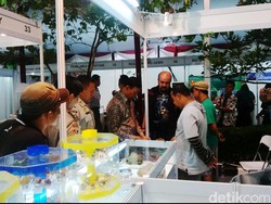 Sambangi Pameran Batu Akik di PTIK, Wiranto Beli Bacan Palamea Rp 5 Juta