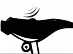 Jerit Penjual Sex Toys di Surabaya Terdampak Pandemi COVID-19