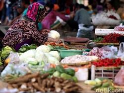Potong Jaringan Makelar, Kementan Bisa Jual Cabai dan Beras Murah