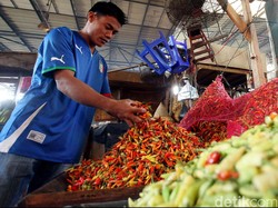 Harga Cabai di DKI Semakin Pedas, Naik Setiap Hari