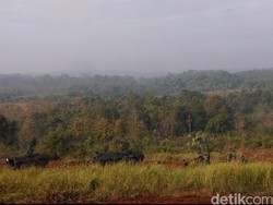 Jokowi Akan Saksikan Latihan Tempur dengan Alutsista Baru TNI AD