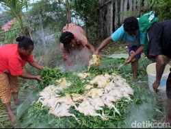 Bakar Batu, Tradisi Muslim Papua Sambut Bulan Suci Ramadan