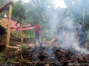 Mengenal Tradisi Bakar Batu dari Suku Dani, Ritual Unik di Papua Mengenal Tradisi Bakar Batu dari Suku Dani, Ritual Unik di Papua