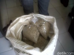 Polres Sleman Kembali Amankan 41 Kg Merica Diduga Palsu