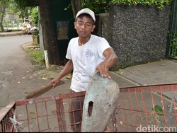 Syafii Tukang Sampah Anti Korupsi yang Sempat Mendunia