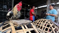 Apa Doa Saat Menyembelih Ayam?