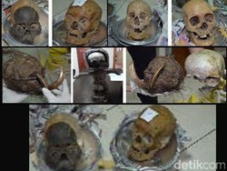 6 Tengkorak yang Hendak Diselundupkan ke Luar Negeri Milik Suku Dayak