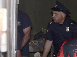 Tewaskan Pria, Harimau yang Kabur di Georgia Ditembak Mati